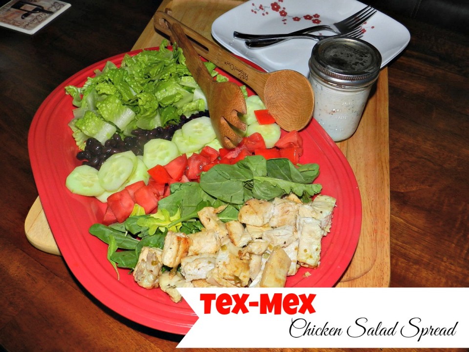 TexMex Chicken Salad Spread4
