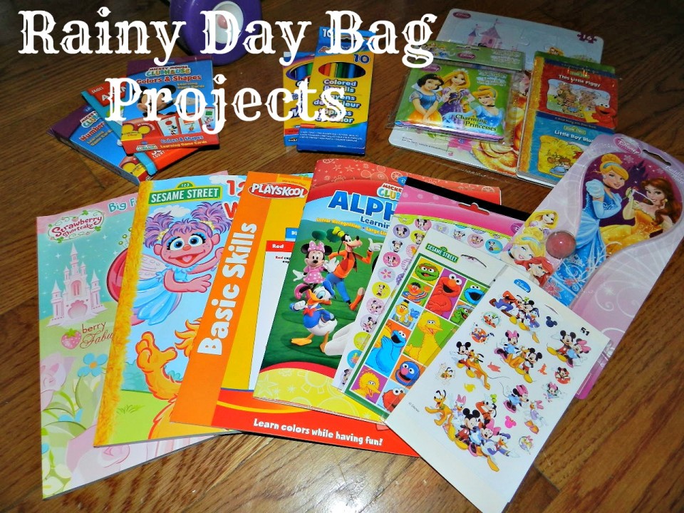 Rainy Day Bag (3)