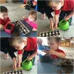 Egg Carton Garden Momma S Meals