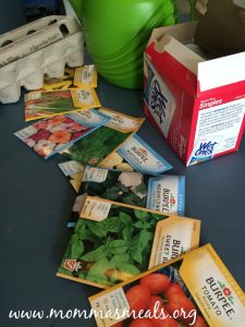 Egg Carton Garden Momma S Meals