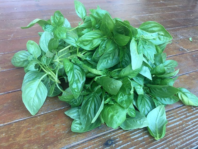 Simple Basil Butter SundaySupper Momma's Meals